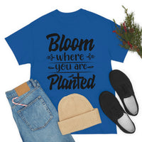 Bloom where you are planted