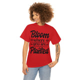 Bloom where you are planted