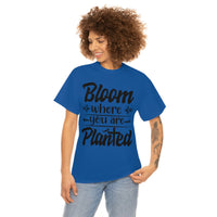 Bloom where you are planted