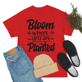 Bloom where you are planted