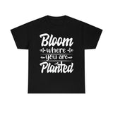 Bloom where you are planted