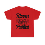 Bloom where you are planted